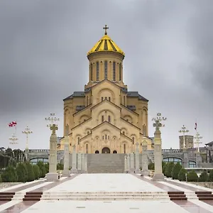 ника7 Тбилиси